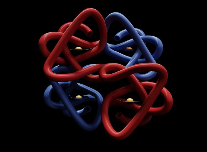 Abstract representation of peptide structures with intertwining red and blue strands