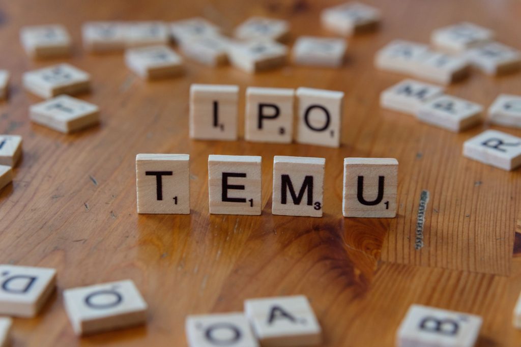 NSE IPO details