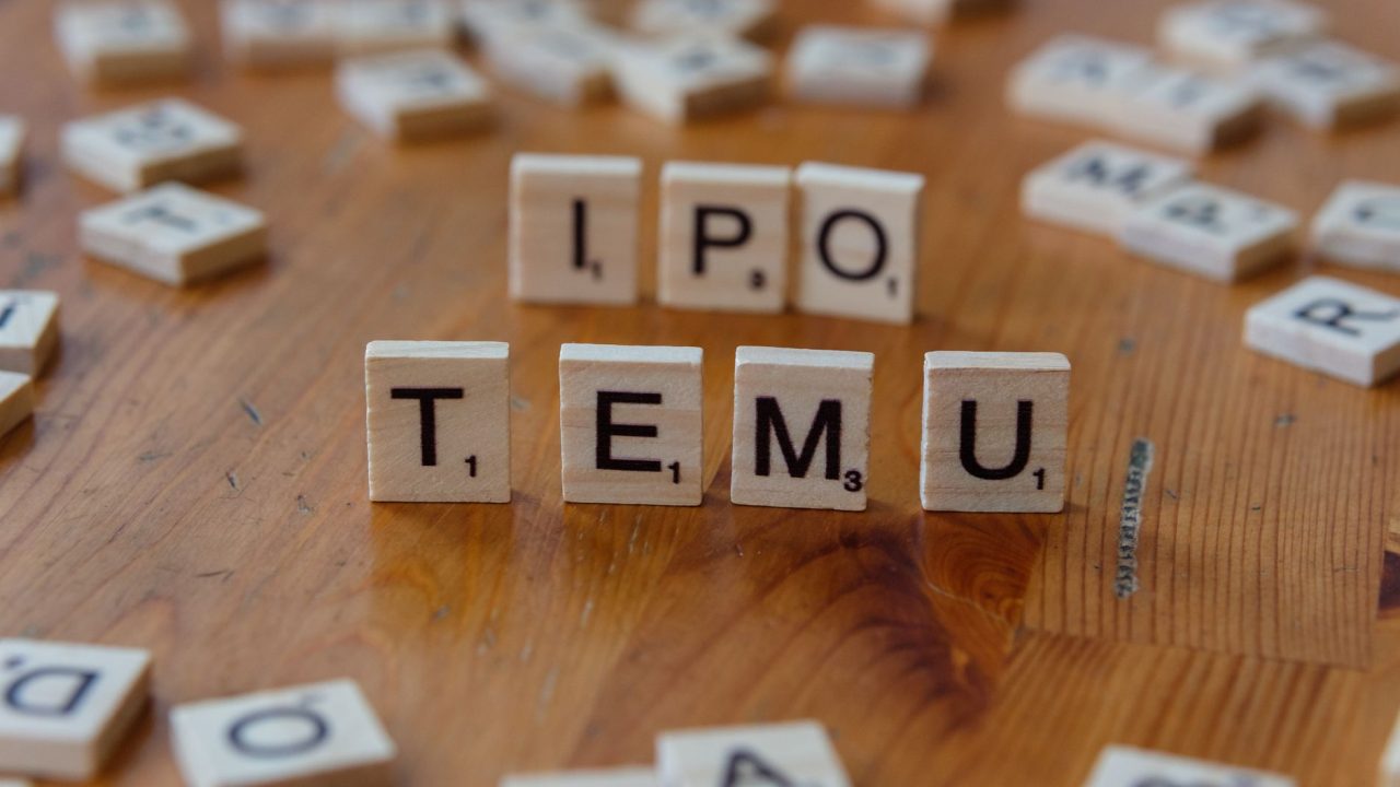 NSE IPO details