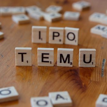 NSE IPO details