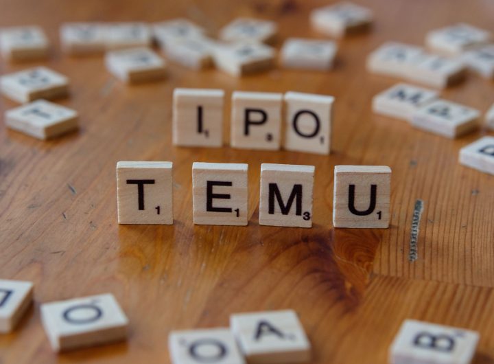 NSE IPO details